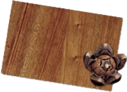 Mahogany veneer sample