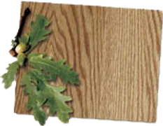 Oak veneer sample