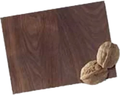 Walnut veneer sample
